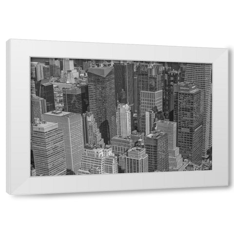 Velvet Views II White Modern Wood Framed Art Print by Stelfox, Norm