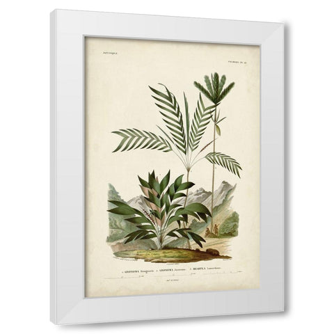 Antique Palm Collection I White Modern Wood Framed Art Print by DOrbigny, M. Charles