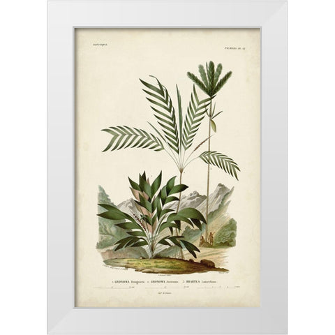 Antique Palm Collection I White Modern Wood Framed Art Print by DOrbigny, M. Charles