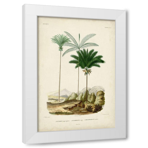 Antique Palm Collection II White Modern Wood Framed Art Print by DOrbigny, M. Charles