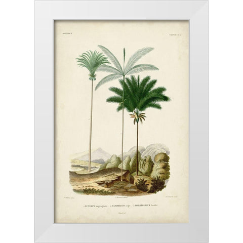 Antique Palm Collection II White Modern Wood Framed Art Print by DOrbigny, M. Charles