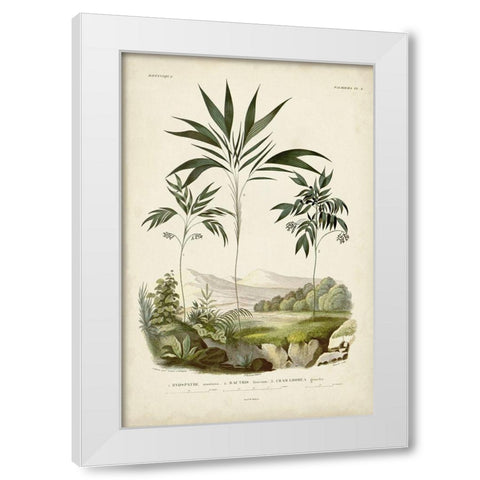 Antique Palm Collection III White Modern Wood Framed Art Print by DOrbigny, M. Charles