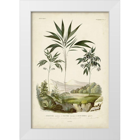 Antique Palm Collection III White Modern Wood Framed Art Print by DOrbigny, M. Charles