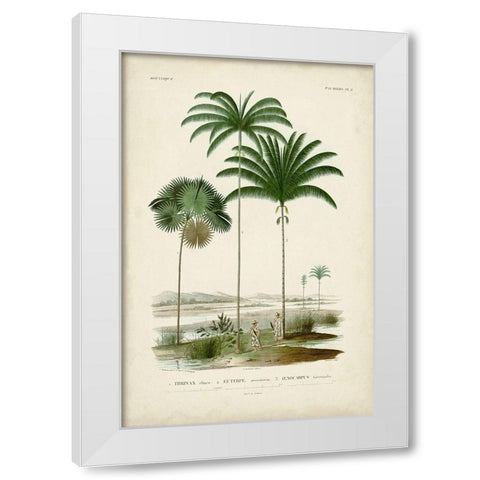 Antique Palm Collection IV White Modern Wood Framed Art Print by DOrbigny, M. Charles