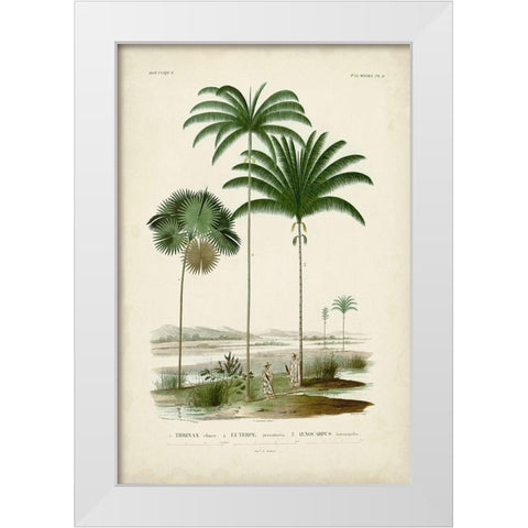 Antique Palm Collection IV White Modern Wood Framed Art Print by DOrbigny, M. Charles