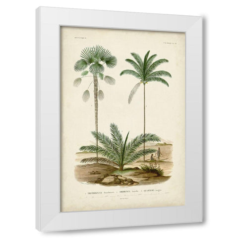 Antique Palm Collection V White Modern Wood Framed Art Print by DOrbigny, M. Charles