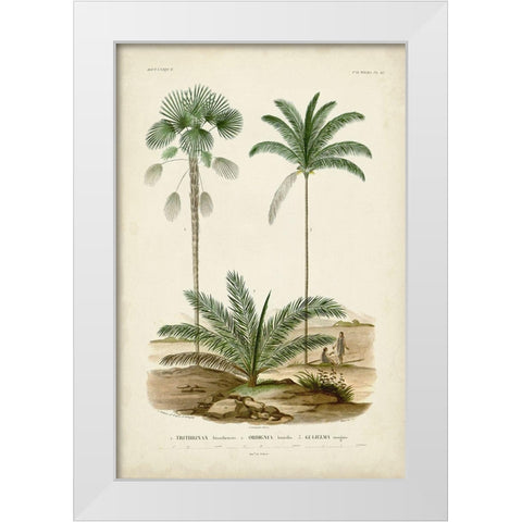 Antique Palm Collection V White Modern Wood Framed Art Print by DOrbigny, M. Charles