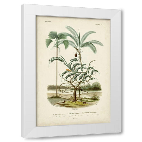 Antique Palm Collection VI White Modern Wood Framed Art Print by DOrbigny, M. Charles