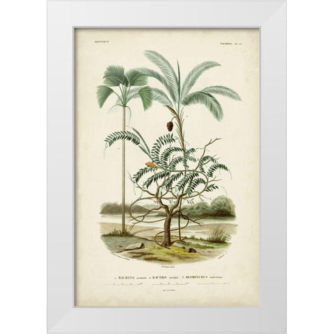 Antique Palm Collection VI White Modern Wood Framed Art Print by DOrbigny, M. Charles
