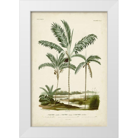 Antique Palm Collection VII White Modern Wood Framed Art Print by DOrbigny, M. Charles