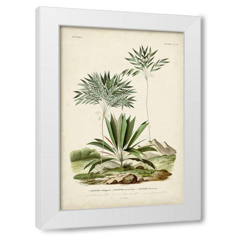 Antique Palm Collection VIII White Modern Wood Framed Art Print by DOrbigny, M. Charles