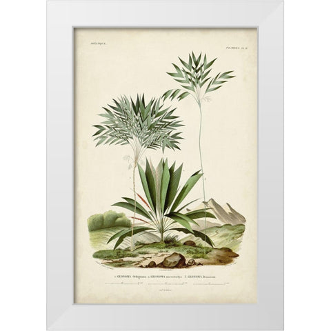 Antique Palm Collection VIII White Modern Wood Framed Art Print by DOrbigny, M. Charles