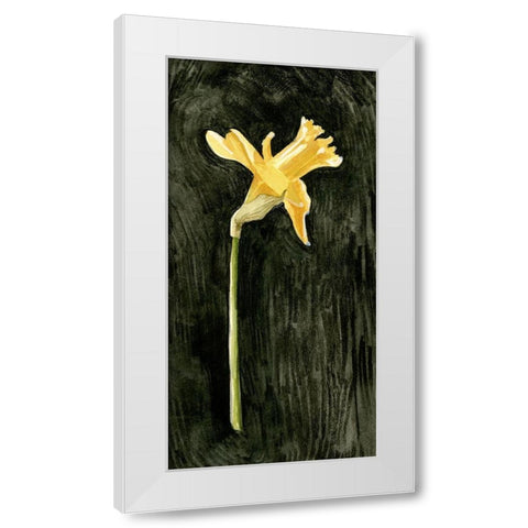 Dark Daffodils II White Modern Wood Framed Art Print by Caroline, Emma