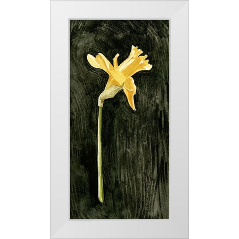 Dark Daffodils II White Modern Wood Framed Art Print by Caroline, Emma