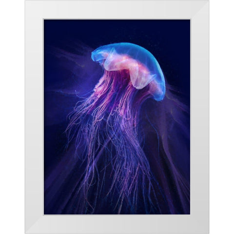 Peri Gelatinous II White Modern Wood Framed Art Print by Hunziker, Steve