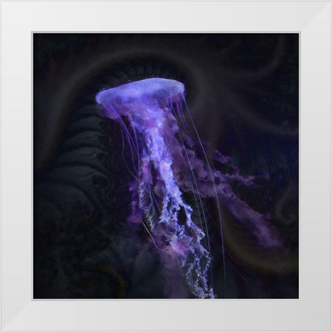 Peri Gelatinous IV White Modern Wood Framed Art Print by Hunziker, Steve