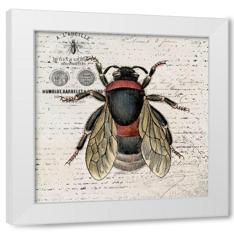 History Bee I White Modern Wood Framed Art Print by Smith, Karen