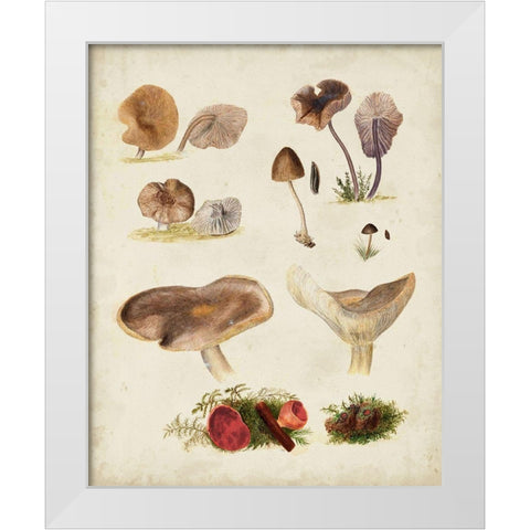 Mushroom Species III White Modern Wood Framed Art Print by Vision Studio