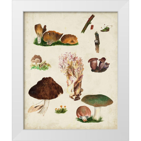 Mushroom Species IX White Modern Wood Framed Art Print by Vision Studio