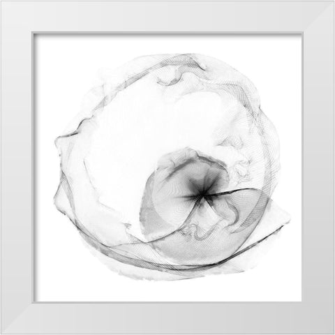 Veiled Illusions II White Modern Wood Framed Art Print by Curinga, Kim