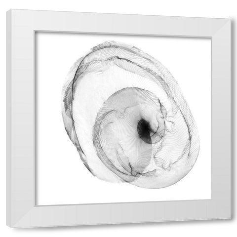 Veiled Illusions IV White Modern Wood Framed Art Print by Curinga, Kim