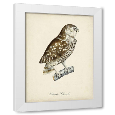 French Owls I White Modern Wood Framed Art Print by de Langlois