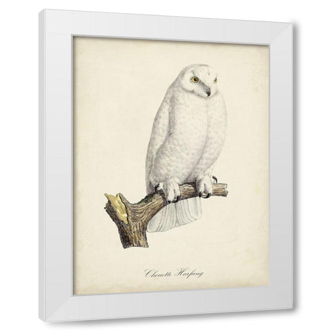 French Owls IV White Modern Wood Framed Art Print by de Langlois