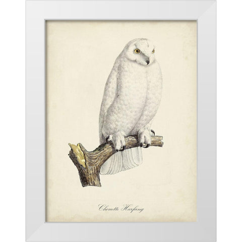 French Owls IV White Modern Wood Framed Art Print by de Langlois