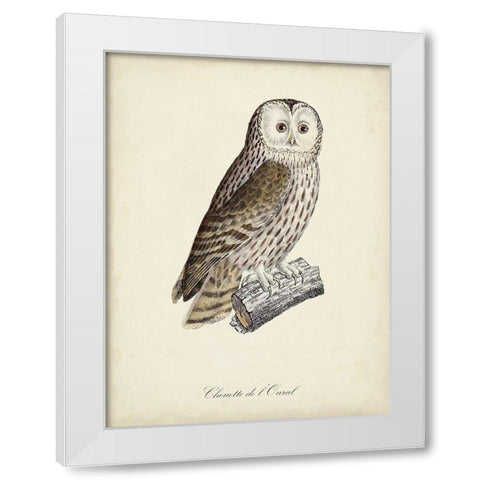 French Owls V White Modern Wood Framed Art Print by de Langlois