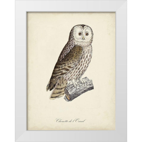 French Owls V White Modern Wood Framed Art Print by de Langlois