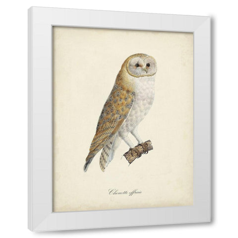 French Owls VI White Modern Wood Framed Art Print by de Langlois