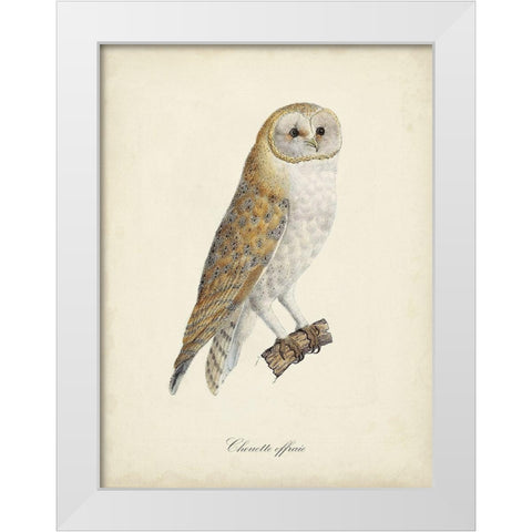 French Owls VI White Modern Wood Framed Art Print by de Langlois