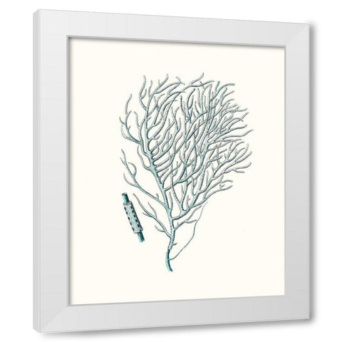 Antique Coastal Coral I White Modern Wood Framed Art Print by Esper, Johann