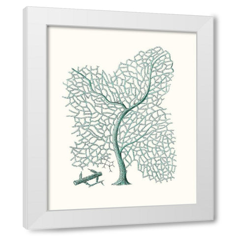 Antique Coastal Coral II White Modern Wood Framed Art Print by Esper, Johann