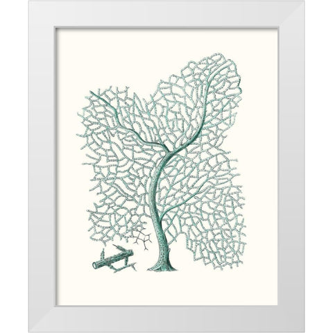 Antique Coastal Coral II White Modern Wood Framed Art Print by Esper, Johann