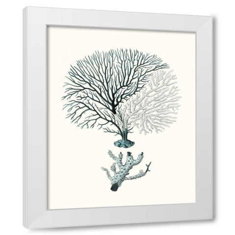 Antique Coastal Coral III White Modern Wood Framed Art Print by Esper, Johann