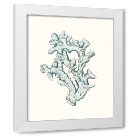 Antique Coastal Coral IV White Modern Wood Framed Art Print by Esper, Johann