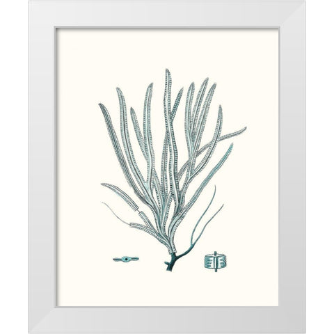 Antique Coastal Coral VII White Modern Wood Framed Art Print by Esper, Johann