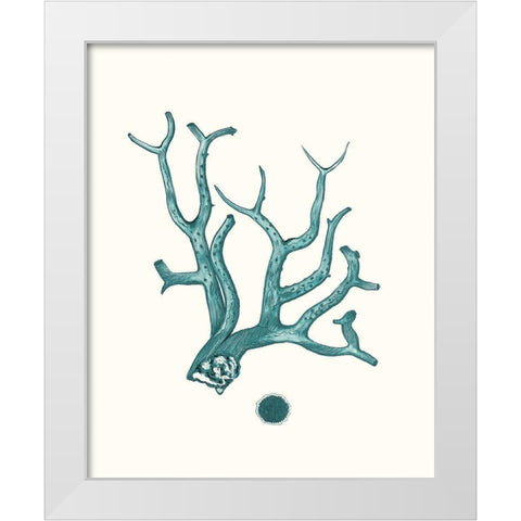 Antique Coastal Coral IX White Modern Wood Framed Art Print by Esper, Johann