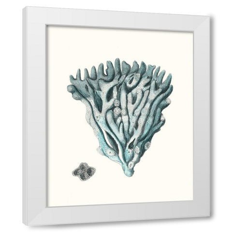 Antique Coastal Coral X White Modern Wood Framed Art Print by Esper, Johann