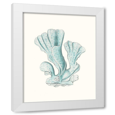 Antique Coastal Coral XI White Modern Wood Framed Art Print by Esper, Johann