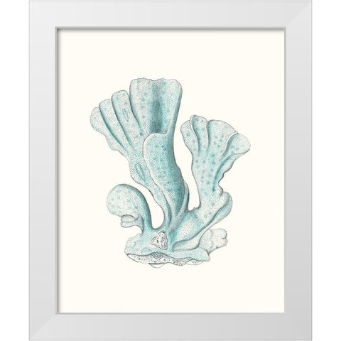 Antique Coastal Coral XI White Modern Wood Framed Art Print by Esper, Johann