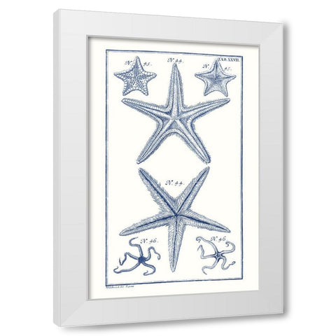 Blue Sea Stars I White Modern Wood Framed Art Print by Vision Studio