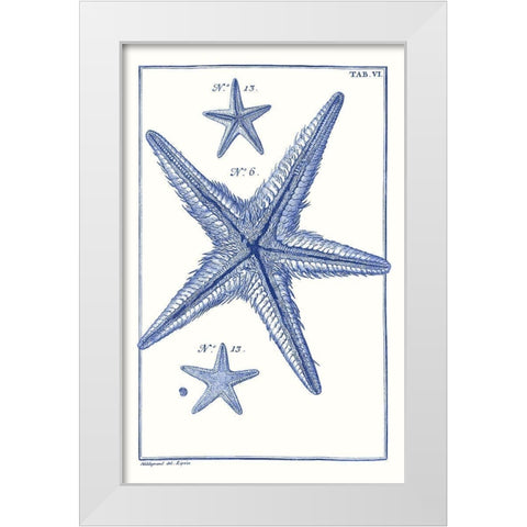 Blue Sea Stars III White Modern Wood Framed Art Print by Vision Studio