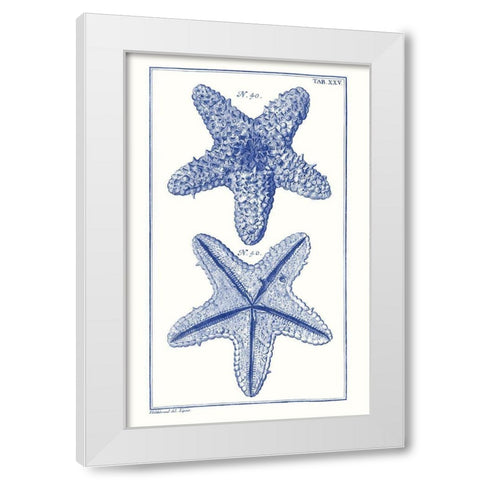 Blue Sea Stars IV White Modern Wood Framed Art Print by Vision Studio