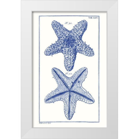 Blue Sea Stars IV White Modern Wood Framed Art Print by Vision Studio