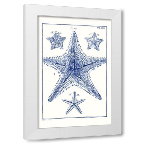 Blue Sea Stars VIII White Modern Wood Framed Art Print by Vision Studio