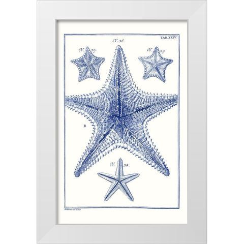 Blue Sea Stars VIII White Modern Wood Framed Art Print by Vision Studio