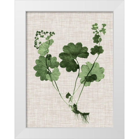 Forest Foliage on Linen I White Modern Wood Framed Art Print by Vision Studio