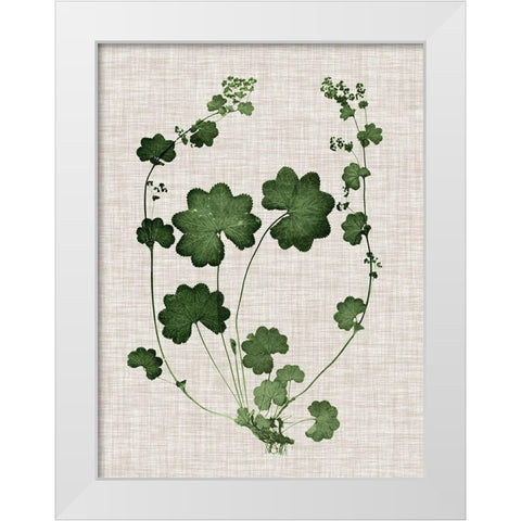 Forest Foliage on Linen II White Modern Wood Framed Art Print by Vision Studio